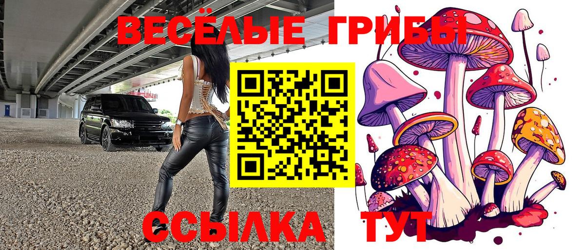 Геленджик  Галлюциногенные грибы прущие грибы  Вход с VPN 